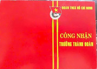 Lễ trưởng thành Đoàn trường Tiểu học Bình Thuận